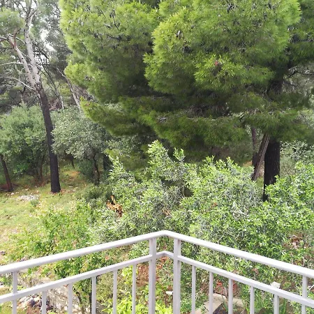 Appartement Aniva - 50 M From The Sea *