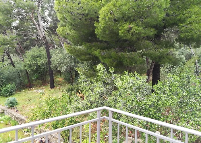 Apartment Aniva - 50 M From The Sea *