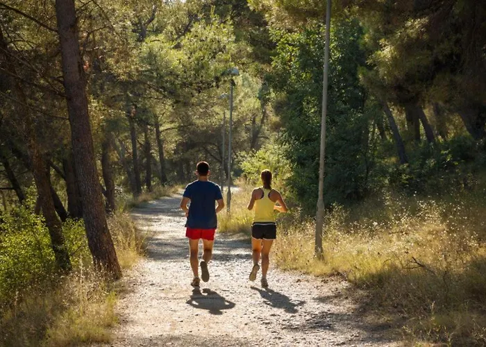 Daire Aniva - 50 M From The Sea